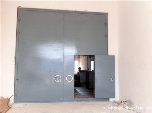 大抗爆门-开小门 (3).jpg